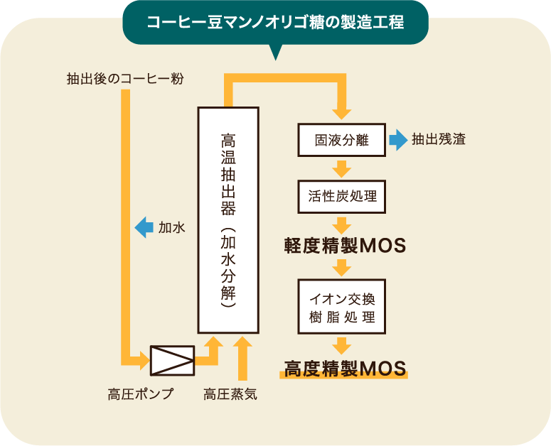 コーヒー豆マンノオリゴ糖の製造工程