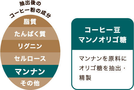 コーヒー豆マンノオリゴ糖 マンナンを原料にオリゴ糖を抽出・精製