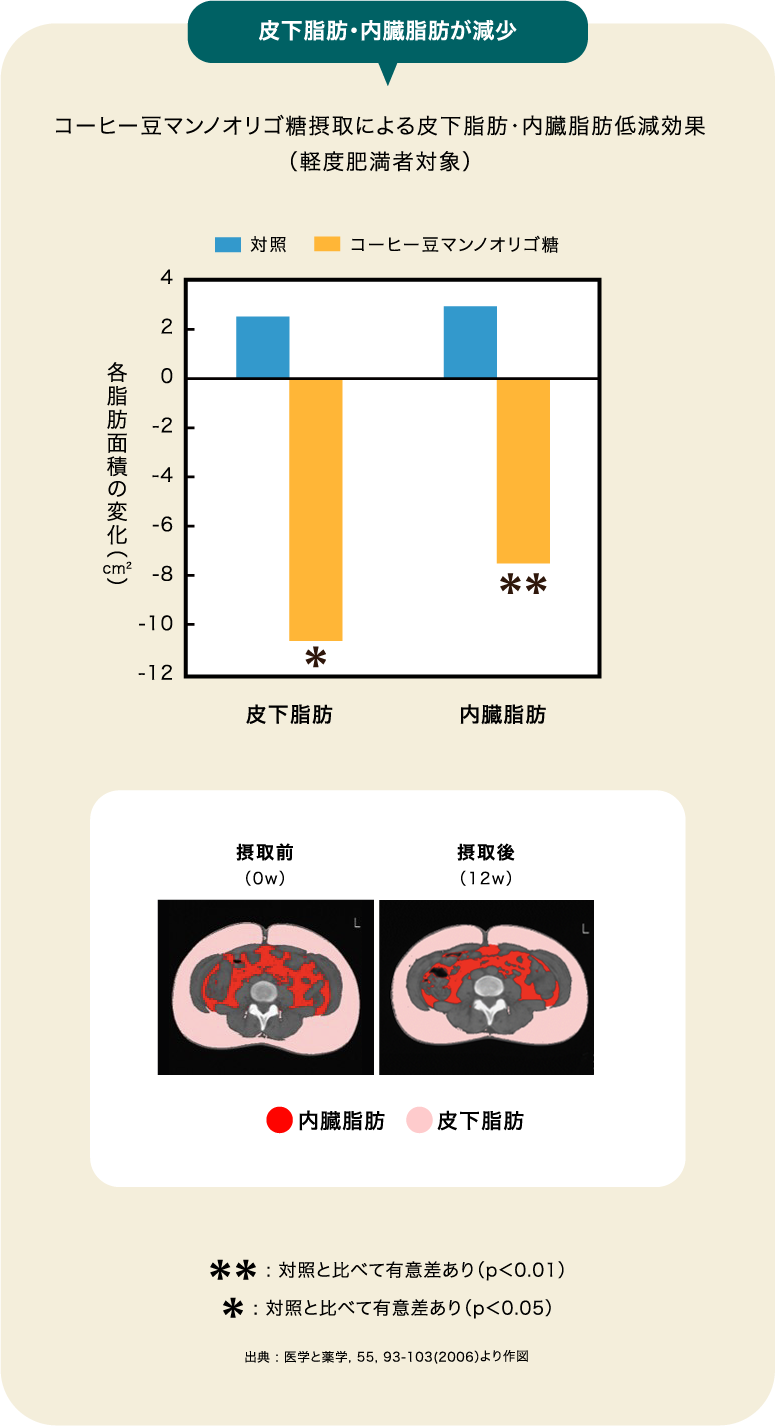 皮下脂肪・内臓脂肪が減少