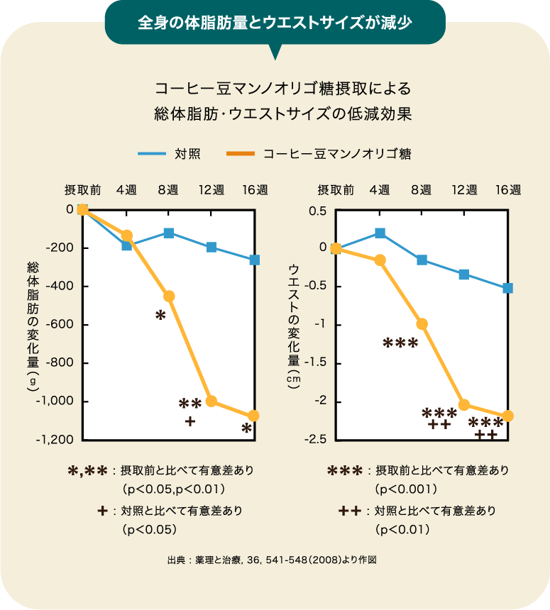 全身の体脂肪量とウエストサイズが減少