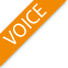 VOICE