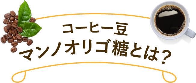 コーヒー豆マンノオリゴ糖とは？