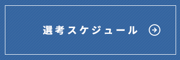 選考スケジュール