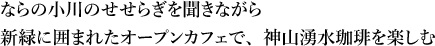 ならの小川のせせらぎを聞きながら新緑に囲まれたオープンカフェで、神山湧水珈琲を楽しむ